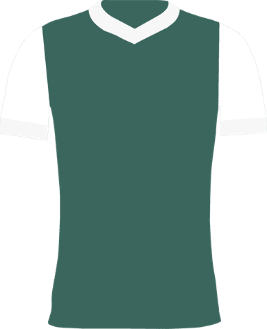 Hibernian items