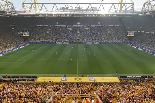 category placeholder