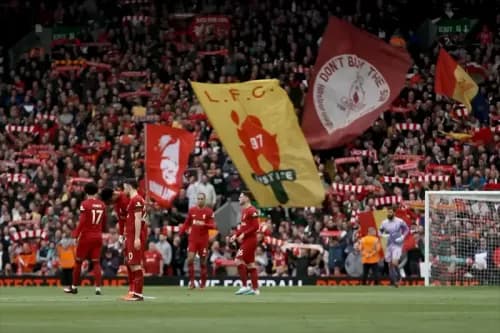 category placeholder