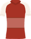 SV Zulte Waregem