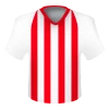 Stoke City Emblem