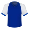 FC Magdeburg Emblem